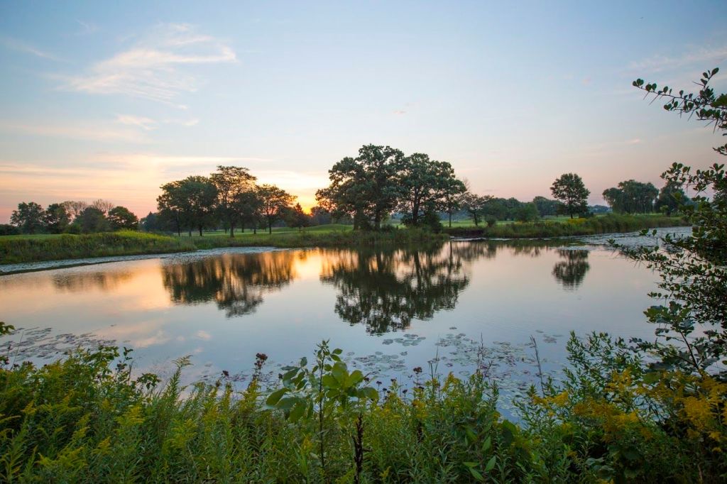 golf course pond